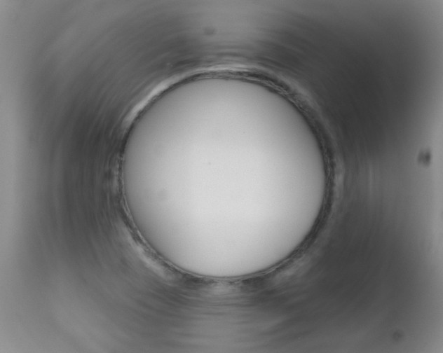 X0000112521409200908171101