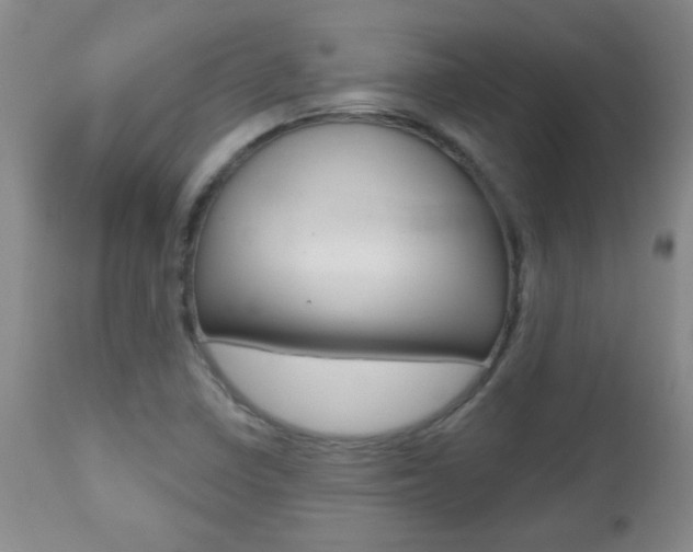 X0000112521410200908171101