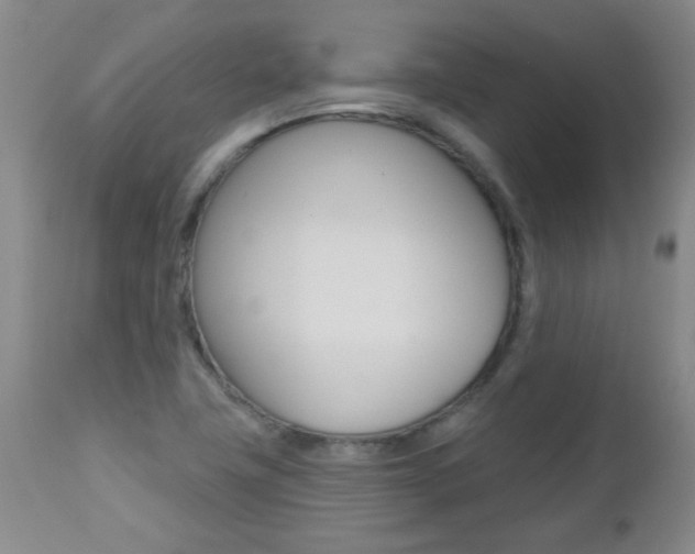 X0000112521411200908171101