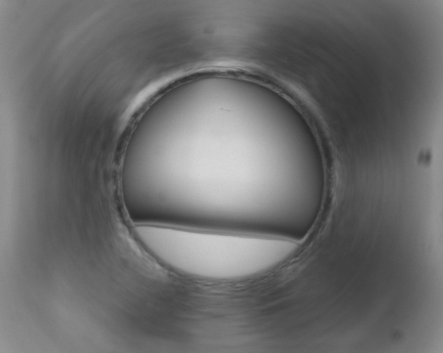 X0000112521412200908171101
