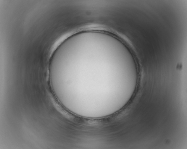 X0000112521413200908171101