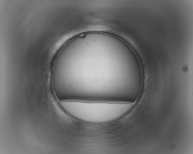 X0000112521414200908171101