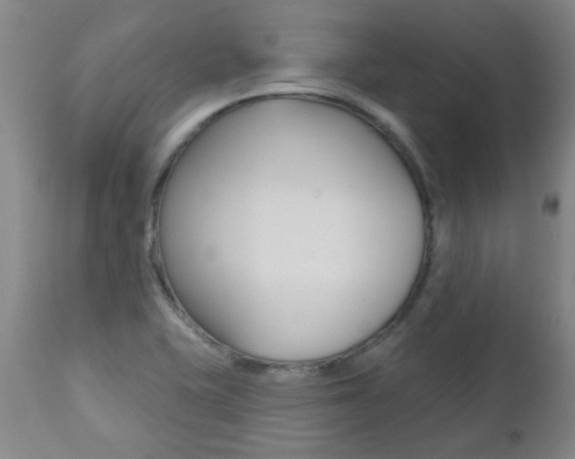 X0000112521415200908171101