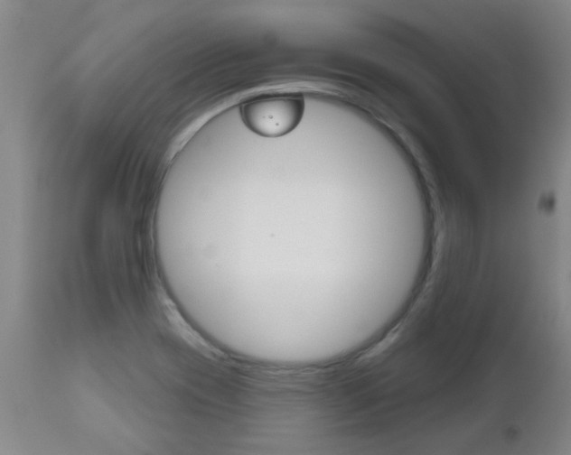 X0000112521417200908171101