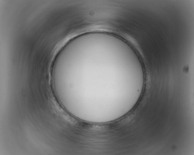 X0000112521419200908171101