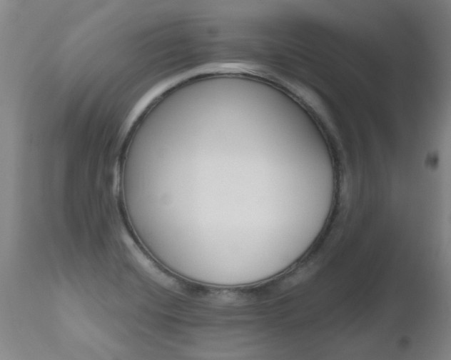 X0000112521420200908171101