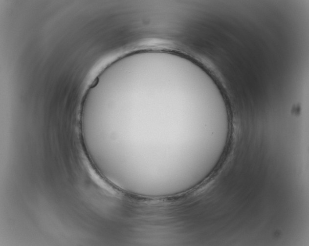X0000112521421200908171101