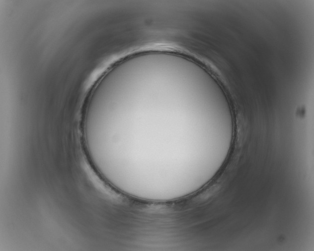 X0000112521422200908171101