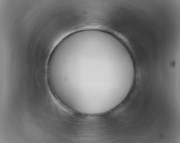 X0000112521423200908171101