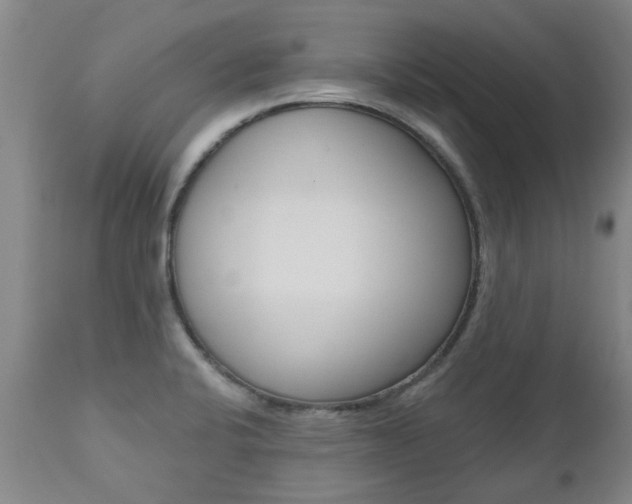 X0000112521424200908171101