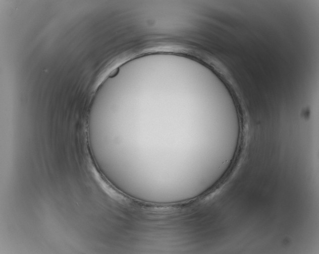 X0000112521425200908171101