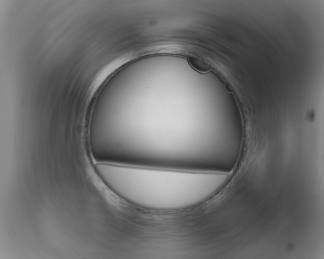 X0000112521426200908171101