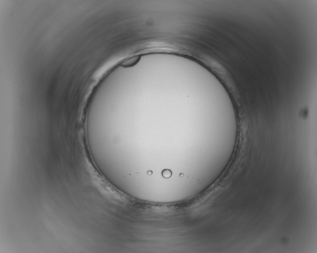 X0000112521427200908171101