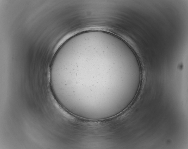 X0000112521428200908171101
