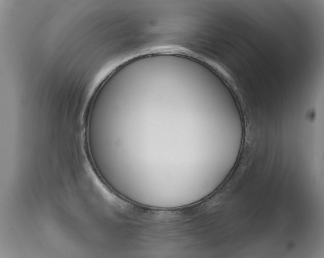 X0000112521430200908171101