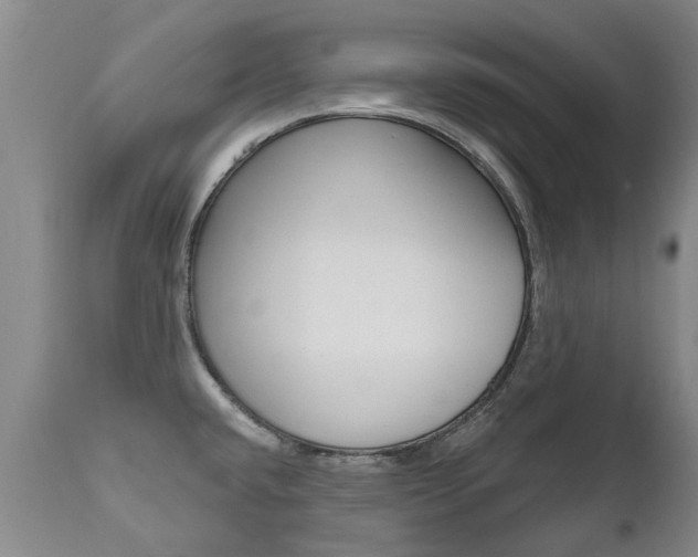 X0000112521432200908171101