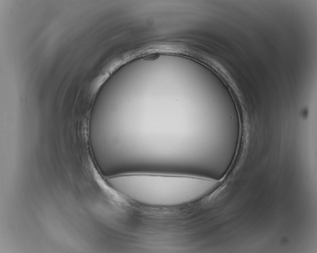 X0000112521433200908171101