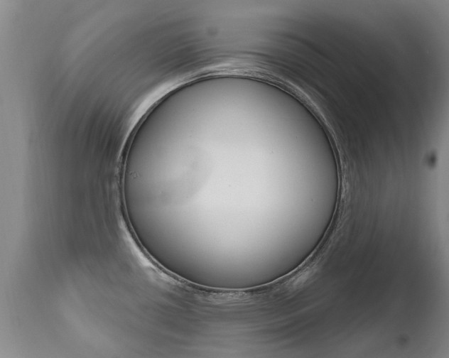 X0000112521434200908171101