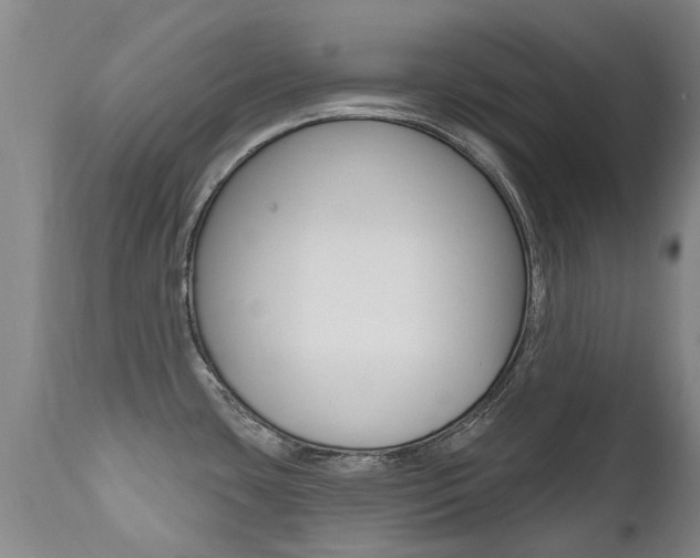 X0000112521435200908171101