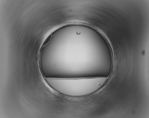 X0000112521437200908171101
