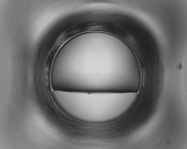 X0000112521438200908171101