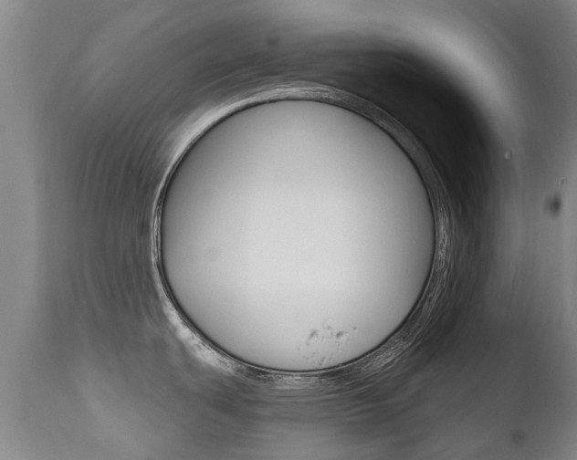 X0000112521439200908171101