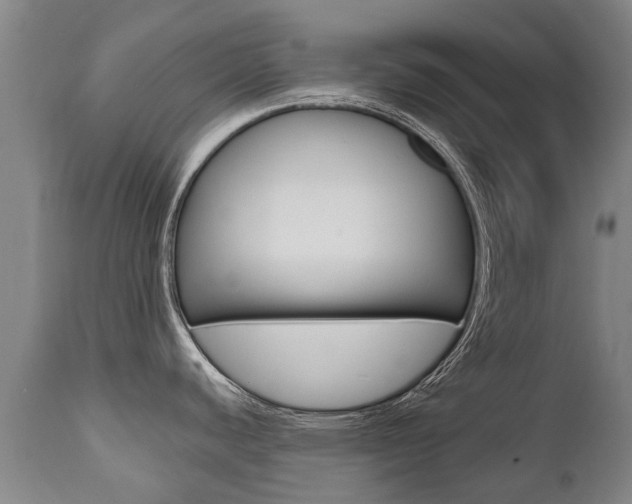 X0000112521440200908171101