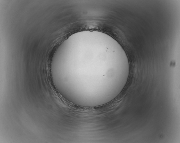 X0000112521442200908171101