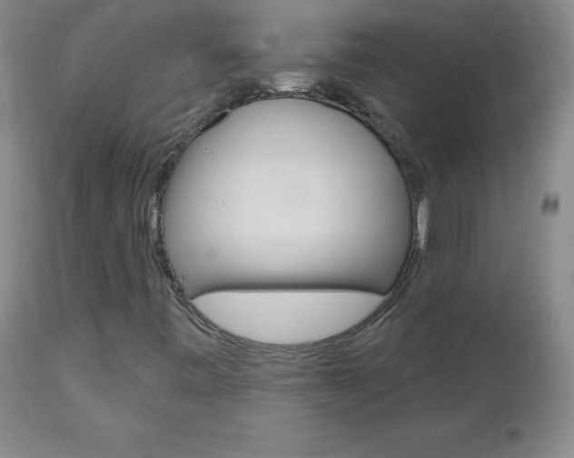 X0000112521443200908171101