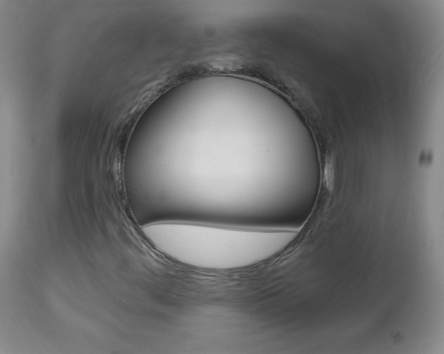 X0000112521444200908171101