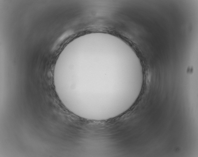 X0000112521446200908171101
