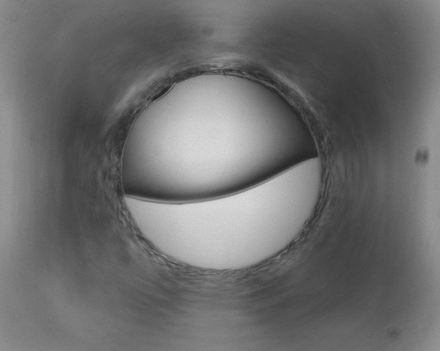 X0000112521447200908171101