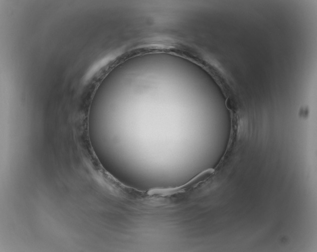 X0000112521448200908171101