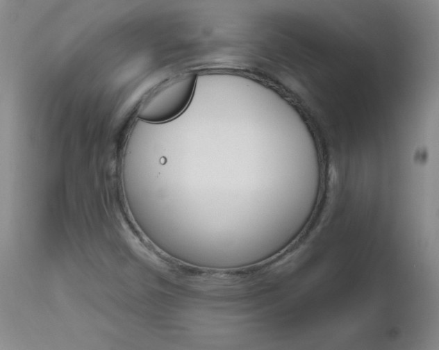 X0000112521450200908171101