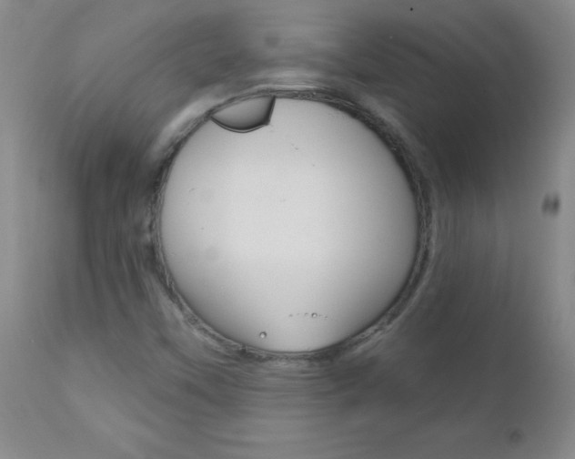 X0000112521451200908171101