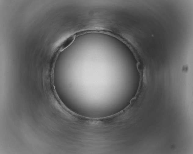 X0000112521452200908171101