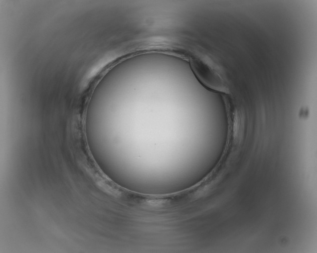 X0000112521453200908171101