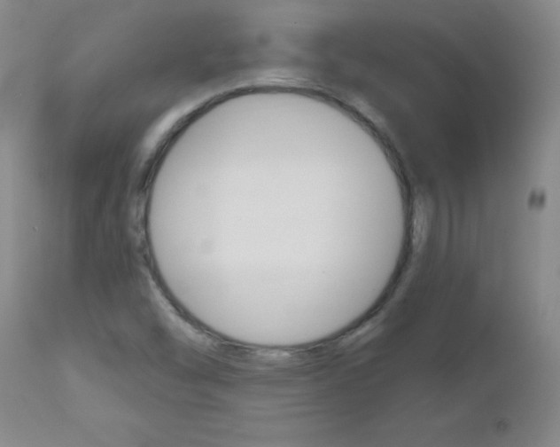 X0000112521454200908171100