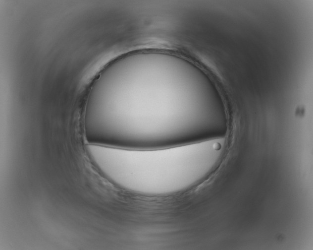 X0000112521455200908171100
