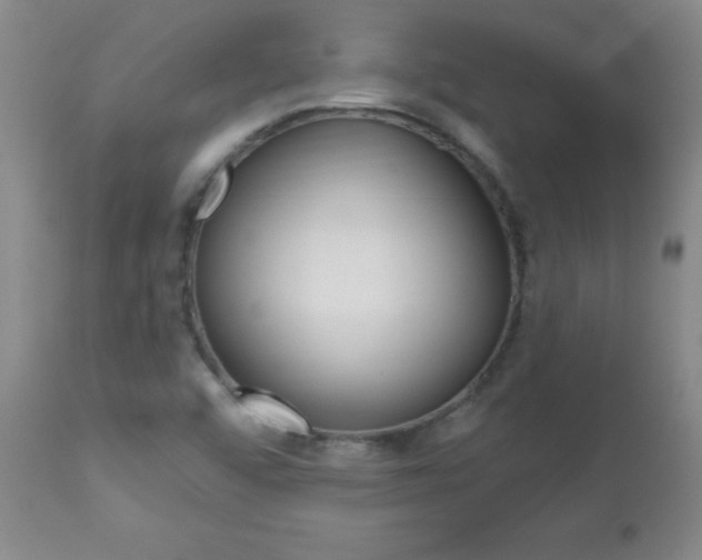 X0000112521456200908171100