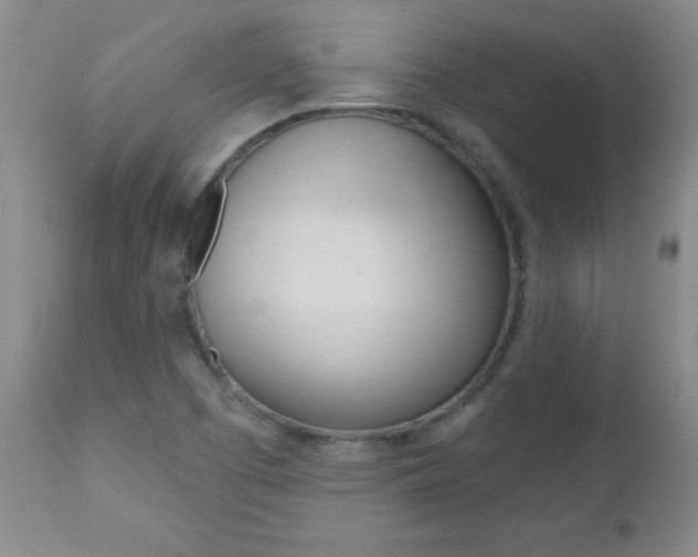 X0000112521457200908171100