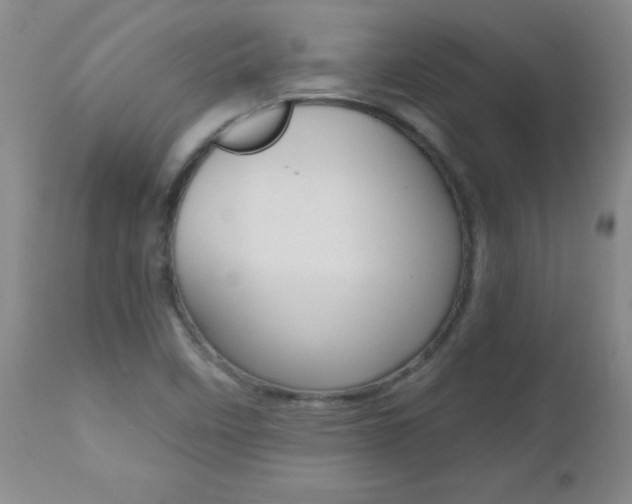 X0000112521458200908171100
