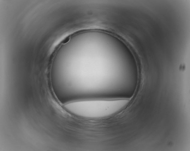 X0000112521460200908171100