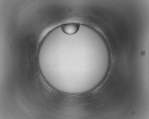 X0000112521461200908171100