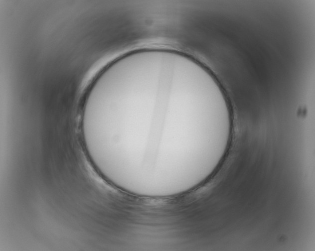 X0000112521462200908171100
