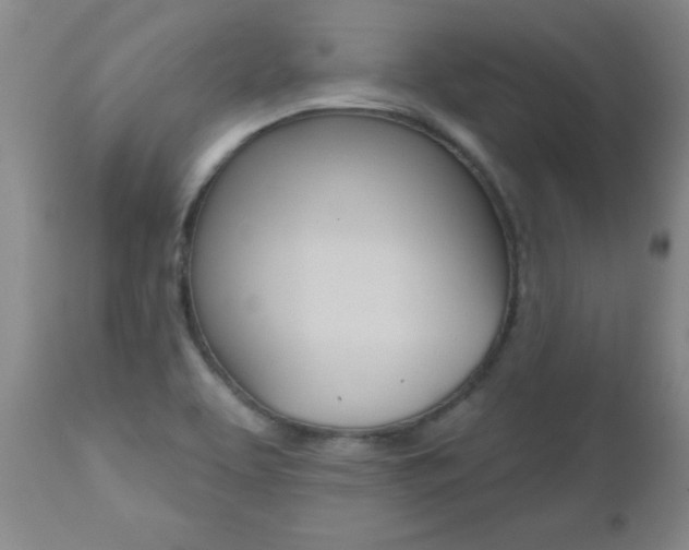 X0000112521463200908171100