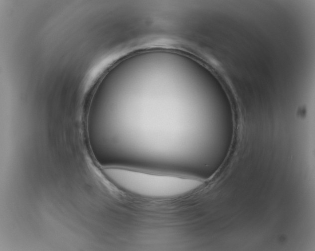 X0000112521464200908171100