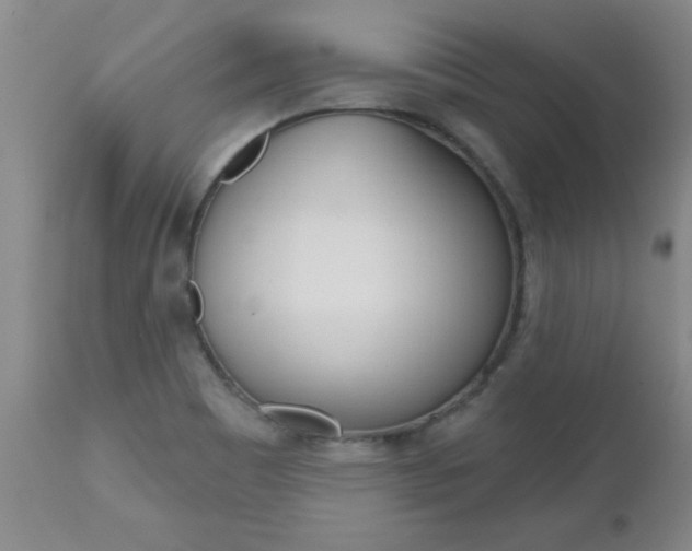 X0000112521465200908171100