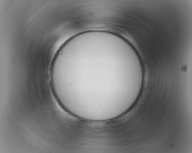 X0000112521466200908171100