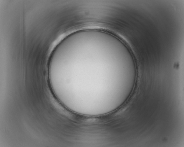 X0000112521467200908171100